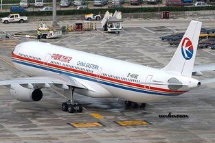 滨州青岛机场至上海与福州空运服务详解 全国空运货运代理高效解决方案